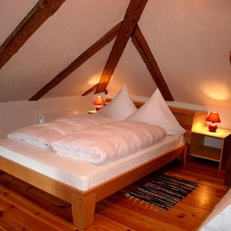 Goldingen Apartment Kuldiga Room photo